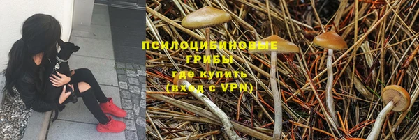 прущие крисы Инта