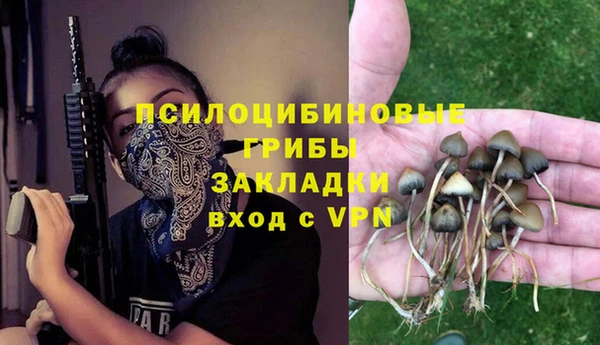 спайс Инсар