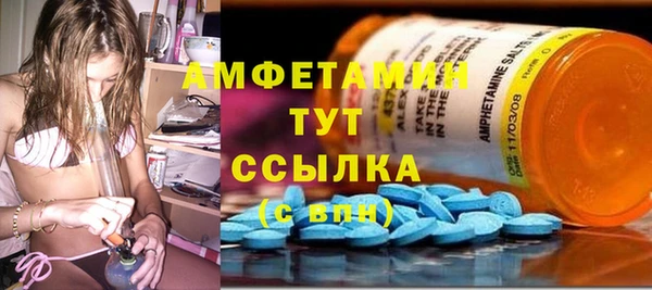 прущие крисы Инта