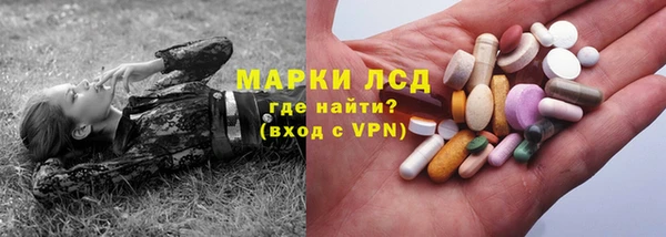 мяу мяу мука Иннополис