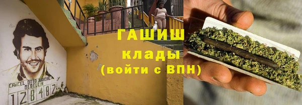 мяу мяу мука Иннополис